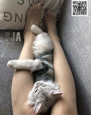 校花av_DVD高清视频播放