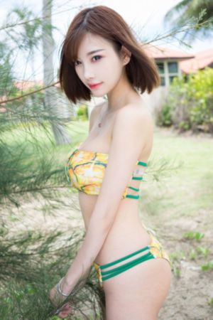 花与蛇在线观看_高清视频在线观看